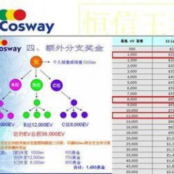 太陽線直銷軟件專業(yè)定制開發(fā)全解析 從廠家選擇到價格評估